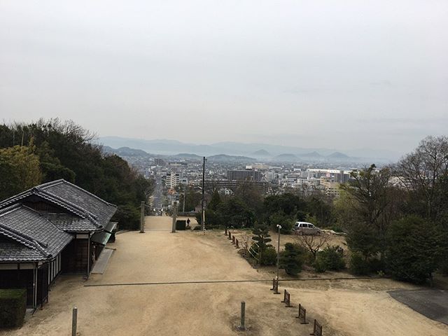 本日も通常営業しております! 今日は営業前に、身体を動かしてきました🏔♂️ 身体を動かすのは、とても気持ちが良いですね 昨日、暖かいなぁと思ってたらマーガレットが綺麗に咲いてました癒されます♪ 【運動について】 ●からだ的な効果 運動の効果はからだの機能面によく表われますが、疾病に対しても効果があります。 ・健康的な体形の維持 ・体力、筋力の維持および向上 ・肥満、高血圧や糖尿病などの生活習慣病やメタボリックシンドロームの予防 ・加齢に伴う生活機能低下(ロコモティブシンドローム)の予防 ・心肺機能の向上により疲れにくくなる ・腰や膝の痛みの軽減 ・血行促進により肩こり、冷え性の改善 ・抵抗力を高める(風邪予防) ●精神的な効果 思いっきり走った後に、爽快感や達成感などとても良い気分になった経験がある方も多いのではないでしょうか。このように運動をすると精神面にも様々な良い影響を及ぼします。 ・認知症の低減 ・不定愁訴の低減 ・気分転換やストレス解消 運動の効果、素晴らしいです! これからも適度な運動を継続できるよう頑張ります https://nseitai.com/ 【完全予約制】 【電話番号】080-9542-8357 【営業時間】9:00〜21:00 【定休日】不定休 【住所】〒760-0054香川県高松市常磐町1-9-17
