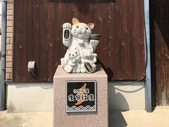 先日、お昼にうどん屋まつはまに行ってきました!! そこで食べてきたのが【ながもうどん】を食べてきました! 【ながも】?? 食べた事も聞いたこともありません! いざ食べてみたら、しゃきしゃき、ねばねば、麺と出汁とあってとても美味しかったです ながもについて調べてみたら、お腹の調子を整えたり、血中コレステロールを低下させる働きがあるとのこと。その上、抗がん作用もあるといわれているフコイダンも豊富。近年、健康食品として注目を集めてます! さらに、フコダインという成分には、免疫力をアップしてくれる効果があり、具体的には体の中のは白血球の免疫細胞の中の「マクロファージ」や「NK細胞」などを活性化するといいます! これは免疫力をつけるためにとても良いです! ながも美味しいし、栄養もあるのでとてもいいですね♪ 最後に本日も通常営業しております! みなさんからの予約お待ちしております♪ https://nseitai.com/ 【完全予約制】 【電話番号】080-9542-8357 【営業時間】9:00〜21:00 【定休日】不定休 【住所】〒760-0054香川県高松市常磐町1-9-17