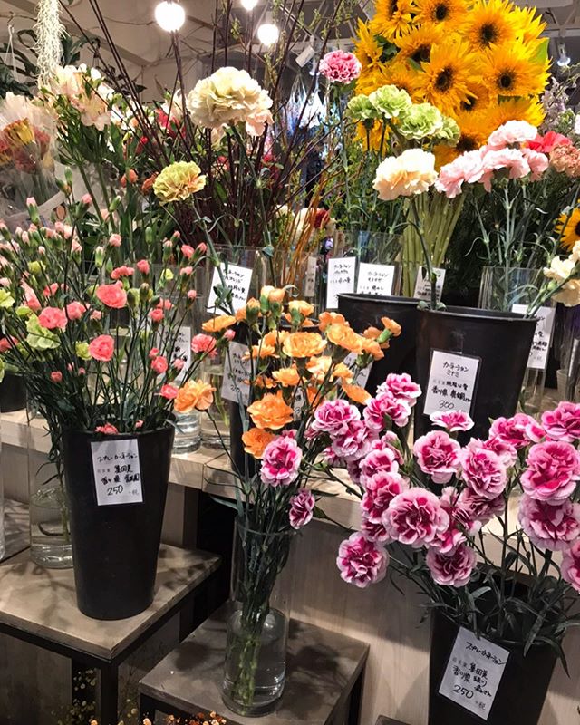本日は、トキワ街にある花屋のカタリさんにお花を買いに来ました ・ お店はオシャレだし、どの花も綺麗で素敵でした!たくさん綺麗な花があるのでどれを買おうかすごい迷います♪ ・ しかも花ごとに花言葉があり、いろいろ知れて楽しかったです ・ 最近コロナの影響で、世の中落ち込んでいますが、こんな時こそ家族、友人、お世話になってる方など大切に感謝の気持ちを伝えることはすごく大事だと思ってます!!! 自分は『あたりまえはあたりまえじゃない』と思ってるので、言える時にこそ伝えるべきだと思ってます! みなさんも恥ずかしい気持ちがあるかも知れませんが、母の日、日ごろ感謝の気持ちを伝えてみてはどうでしょうか♪ ・ 本日も、通常営業しております! 腰痛で悩まれてる方へ、トキワ整体院では腰痛で悩んでいる貴方の役に立ってれます! ぜひ悩んでる方は、 こちらのホームページを一度チェックして見てください。 ・ 【https://nseitai.com/ 】 ・ 腰痛で悩んでる方からのご連絡お待ちしております! ・ ・ 電話番号【080-9542-8357】 ・ https://nseitai.com/ 【完全予約制】 【電話番号】080-9542-8357 【営業時間】9:00〜21:00 【定休日】不定休 【住所】〒760-0054香川県高松市常磐町1-9-17